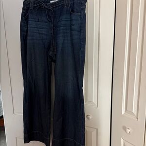 CAbi Beau Jean size 16